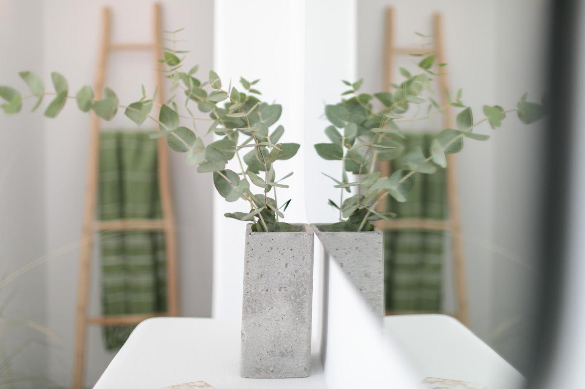 Anamnesia Boutique Apartments Naxos Town Naxos City Εξωτερικό φωτογραφία